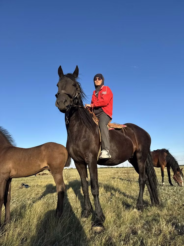Friesian