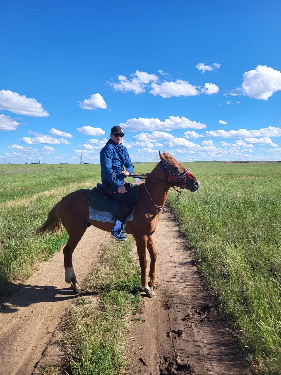 Thoroughbred horse